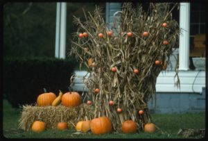 Hay, sheaves, and pumpkins artfully arranged to celebrate the harvest. The pumpkins are sitting next to the sheave and on top of the hay bale. 