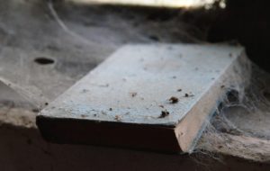 Book covered in cobwebs and dust