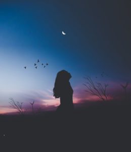 Silhouette of a person with long hair standing in a meadow after sunset. The sky is barely still pink, and you can see birds and in the moon in the lighter parts of the sky. 