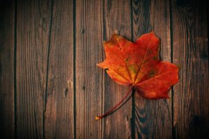 red maple leaf lying on a wooden floor