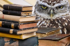 owl sitting next to a stack of books. reading glasses have been photoshopped onto the owl's face.