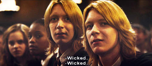 Gif of Fred and George Weasley saying "wicked."