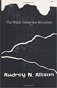Book cover for The Witch Under the Mountain by Audrey N. Allison