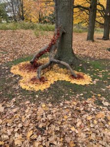 Branch leaned up against a tree. The branch is covered in red leaves and propped up by twigs. Each one of the three arms of the branch is surrounded by red leaves. The red leaves are surrounded by yellow leaves. 