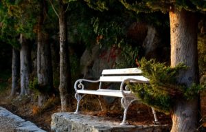 A white bench sitting on a slab of concrete at the edge of a pine forest. 