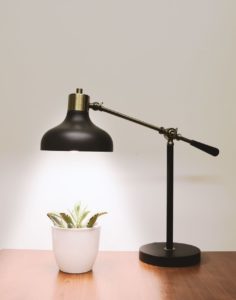 A desk lamp shining down on a houseplant