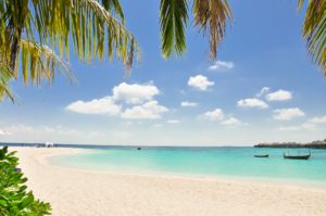 A shot of a Caribbean beach. There are palm tree leaves at the top of the shot and boats floating far away in the ocean.