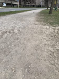 A flat, dry running trail at a park. 