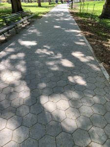 A sun dappled sidewalk in a park