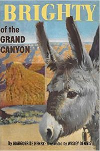 Brighty of the Grand Canyon by Marguerite Henry, Wesley Dennis book cover. Image on cover is of a burrow standing next to the grand canyon