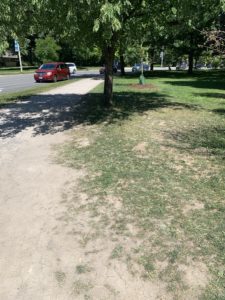 A dirt running trail in a park. 