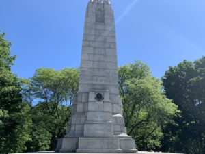 Top half of world war I statue surrounded by the peaks of tall trees. 