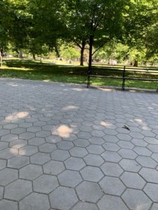 A sun dappled sidewalk in a park. There is an empty bench in the background. 