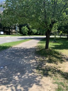 A dirt running trail shaded by trees in a park. 