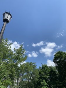 A park lamp, several green trees against a blue sky filled with some puffy, white clouds. 
