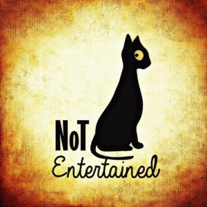 Drawing of a perturbed black cat. The phrase "not entertained" is written next to and underneath it.