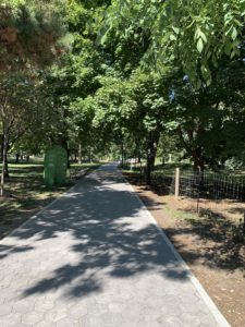 A shaded stone path through a park. 