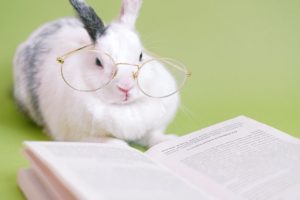 Rabbit wearing spectacles and sitting next to an opened book