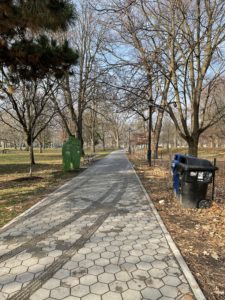 A sidewalk in a park flanked by dormant, bare trees. The grass next to the sidewalk is covered in a thick layer of brown leaves. 