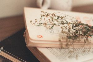 dried plants on top of a small stack of books.