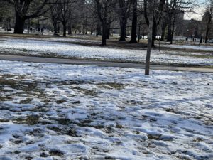 Snow lying on the grass in an urban park. 