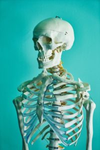 Photo of human skeleton in a teaching lab
