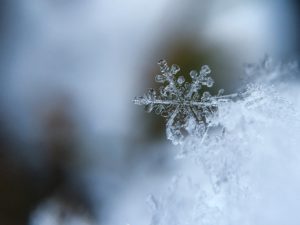 close-up photo of a snowflake 