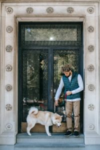 Man and dog standing on a step as the dog contemplates walking down it.