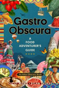 Gastro Obscura- A Food Adventurer's Guide  by Cecily Wong book cover. Image on cover is a mishmash of various travel and food images,from an airplane to strawberries.