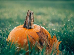 A pumpkin covered in dew sitting in grass covered in dew. There is an orange leaf leaning up on the pumpkin.