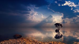 A tree and some dark clouds reflected in a perfectly still body of water. There are also some stones on the beach in the foreground of the shot. 