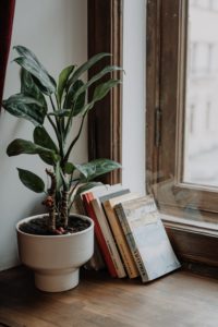 Stack of books leaning up against a wall. They’re between a window and a potted plant. 