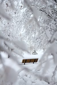 A snow-covered bench in a snow-covered park. 