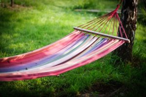 A rainbow hammock hanging between two trees over a lush blanket of thick green grass. 