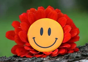 A red flower with a yellow smiley face button sitting in the middle of it. 