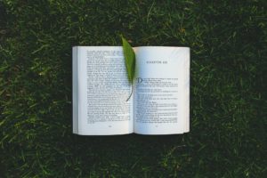 A book lying opened on the grass. A green leaf is being used as a bookmark. 