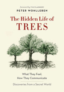 The Hidden Life of Trees: what they feel, how they communicate : discoveries from a secret world by Peter Wohlleben Book cover. Image on cover shows a drawing of one large and two smaller trees whose roots are intertwined underground. 