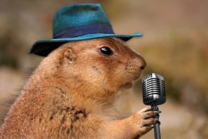 A prairie dog wearing a hat and holding a microphone. 