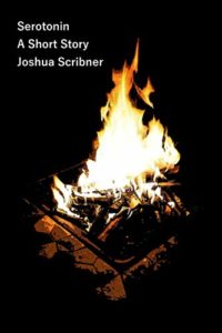 Book cover for Serotonin by Joshua Scribner. Image on cover shows a campfire burning outside against a pitch black sky. 