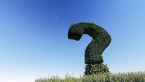 A gigantic evergreen bush that has been trimmed into the shape of a question mark. It’s sitting on a grassy field under a clear blue sky. This image looks computer generated, not real. 
