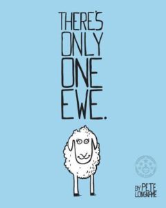 Book cover for There's Only One Ewe. by Pete Longname. Image on cover shows a drawing a white sheep against a pale blue background. 