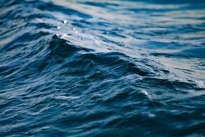 Closeup of a tiny little wave in a lake. It’s so small it wouldn’t even cover your ankles, but it’s very cute. 