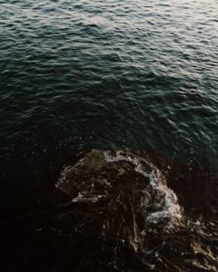 A photograph of a dark portion of the ocean. Something huge is stirring in the water and making waves. It’s too dark in the water to tell what might be churning around down there.