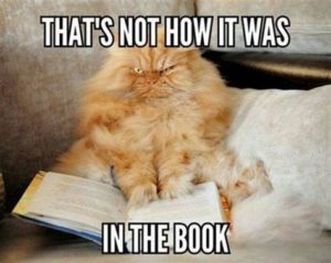 A grumpy orange cat sitting on top of an opened book. The text reads, “that’s not how it was in the book.”