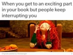 Merida from Disney’s film “Brave” is sitting at a table and throwing her head back in sadness and annoyance. The text reads “when you get to an exciting part in your book but people keep interrupting you.” 