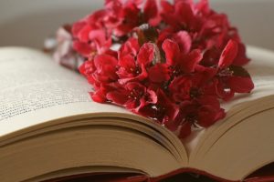 A lush bouquet of red flowers are lying on the pages of an opened book. 