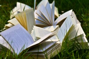 Several hardcover books have been opened and left in an overgrown grassy field. Their pages are spreading open as the sun shines down upon this scene. 