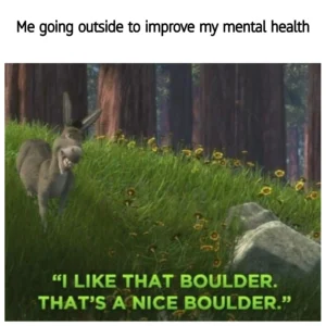 This is a still from the 2001 film Shrek. In it Donkey (the sometimes overly cheerful grey donkey in it) is walking in a meadow looking pleased with himself. There is a dark forest behind him and a boulder in front of him. The text reads, “me going outside to improve my mental health.” At the bottom of the image, the donkey’s line of dialogue is on the screen and reads “I like that boulder. That’s a nice boulder.” 