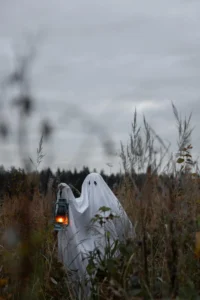 Photo of someone walking around outside in a field with a white sheet over their head. Two eye holes have been cut into the sheet so they can see where they’re going while they dress up as a ghost. They are holding up a lantern with an orange flame in it and looking around as if they may be missing something. Interestingly enough, some of the grasses here are taller than this person. They’re huge! They’re also dry, brown, and dead as it’s autumn in this scene. 