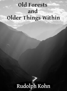 Book cover for Old Forests and Older Things Within by Rudolph Kohn. Image on cover is a photo taken of a mountain range on a very foggy day. It’s so foggy, in fact, that this looks like a black and white photo! You can see pine forests growing on the smaller mountains (or maybe large hills) in the foreground, but the fog grows thicker as you look up. It’s an overcast day and only thin ribbons of sunlight make it through the clouds overhead. 